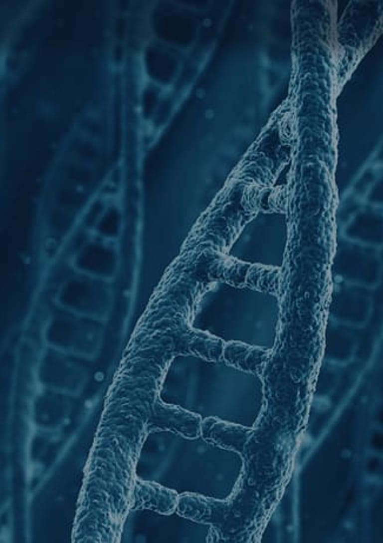 ABVV website case - GENETICLAB