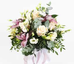 ABVV case gallery - Felicita - 0
